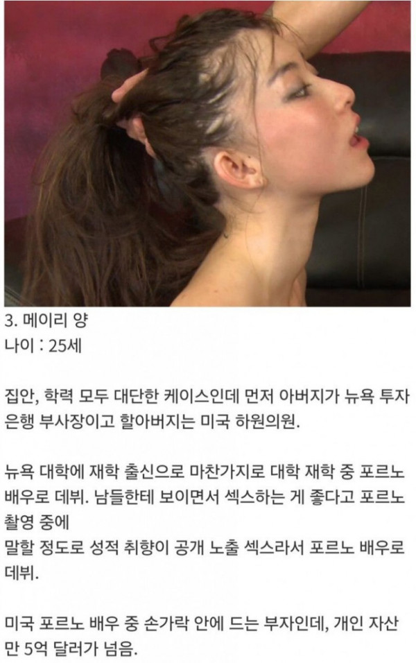 어느 AV 여배우 재산이 6400억원인 이유 , 