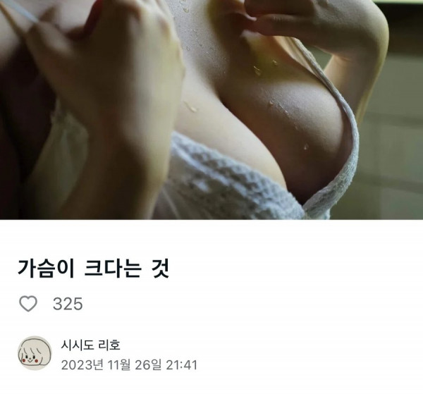 AV 배우가 쓴 가슴 에세이, 