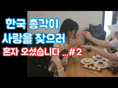 베트남밤문화 | 호치민가라오케 | 호치민불건마 | 호치민마사지 | 호치민맛집 | 베고파, 베트남 유튜브, 한국 총각 베트남 다낭 황제투어 (데이트)