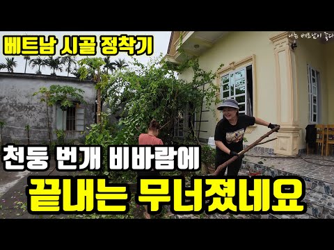 태풍보다 심한 천둥 번개 비바람이 끝내는 망쳐 놨네요 | 베트남 시골 생활 이야기, 