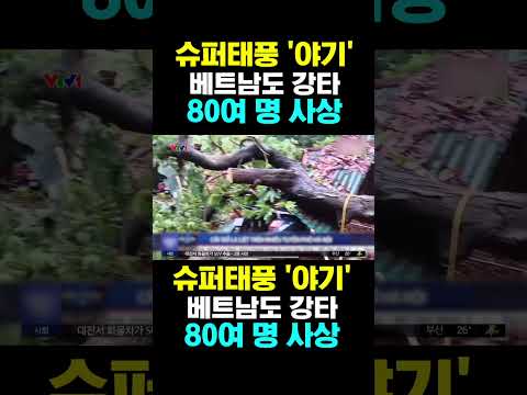 [한국농수산TV] 슈퍼 태풍 '야기' 베트남도 강타...80여 명 사상, 