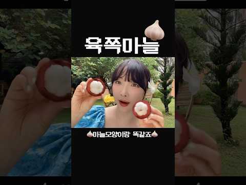 베트남 육쪽마늘 먹방 #shorts, 