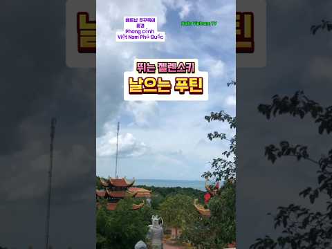 젤렌스키의 아마추어전략 #대한민국 #베트남여행 #동남아여행, 