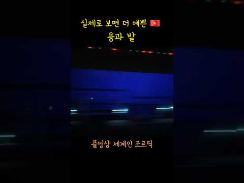 밤에 보면 더 예쁜 용과 밭 불빛 #베트남 #베트남여행 #조르딕, 