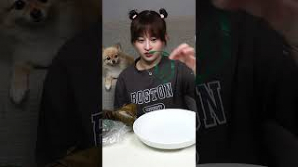 수지푸드suzy-food-bánh-giò-베트남-쌀떡-반지오, 